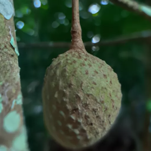 Mua bánh castella trứng muối ngon tại đâu? Tìm...