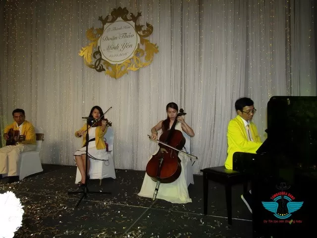 Top 10 phụ kiện đàn violin cần thiết bạn cần biết