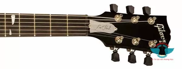 Hướng dẫn học guitar: Bắt đầu chinh phục âm nhạc
